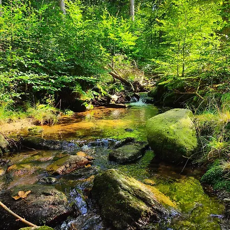 Kaszmir Apartamento Szklarska Poręba