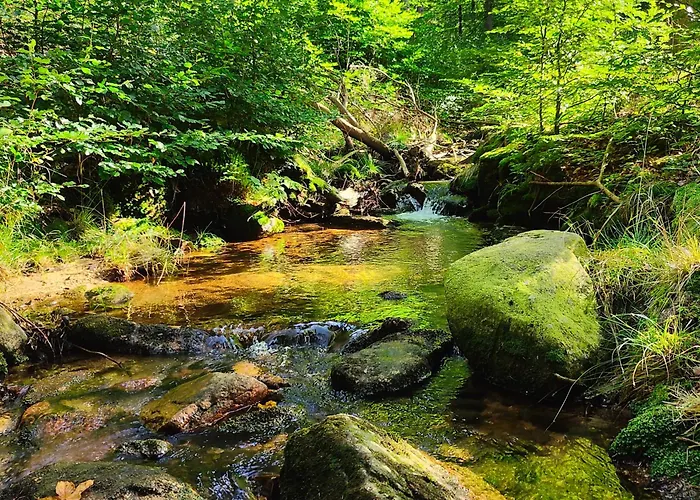 Kaszmir 아파트 스클라르스카포렘바